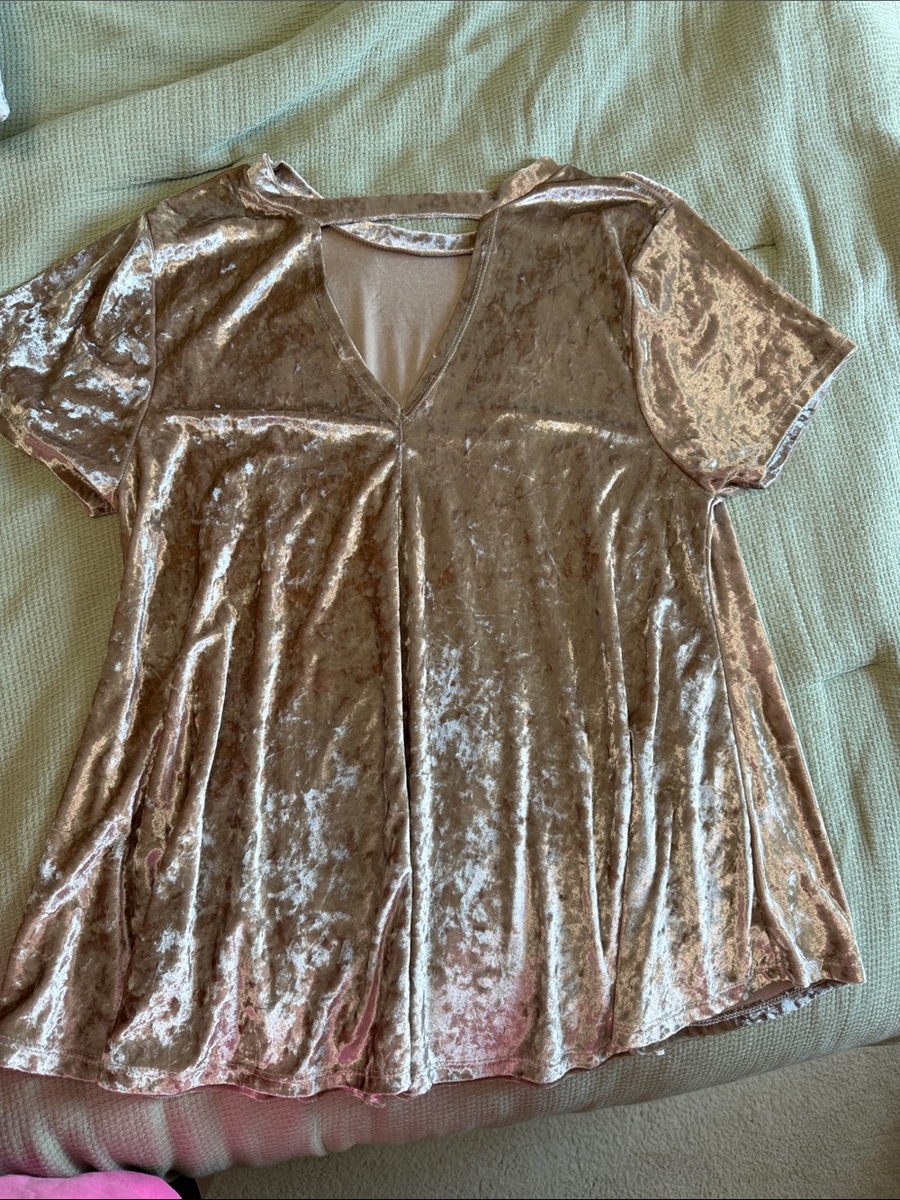 Women's Velvet V-Neck Short Sleeve Top in Champagne